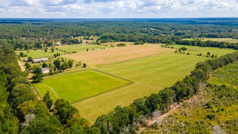 Tiny photo for 1165 Estancia Lane, Wagener, SC 29164 (MLS # 548637)