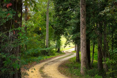 Tiny photo for 1165 Estancia Lane, Wagener, SC 29164 (MLS # 548637)