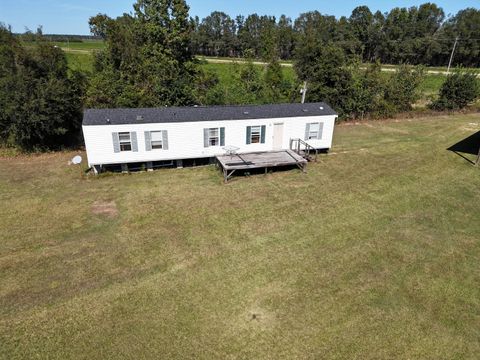 Tiny photo for 2765 Steiner Place Road, Waynesboro, GA 30830 (MLS # 547982)