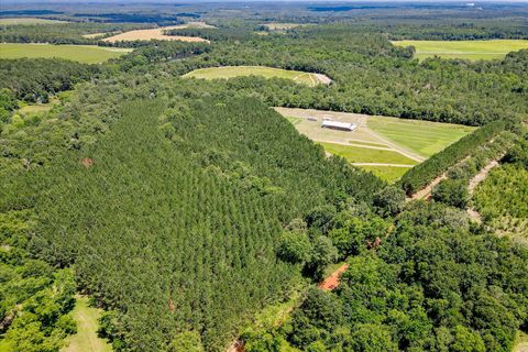 Tiny photo for 566 Earl Dixon Road, Girard, GA 30426 (MLS # 544129)