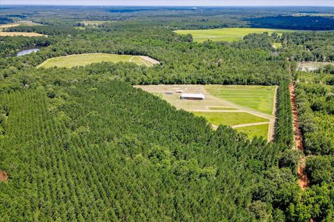 Tiny photo for 566 Earl Dixon Road, Girard, GA 30426 (MLS # 544129)