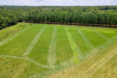 Tiny photo for 566 Earl Dixon Road, Girard, GA 30426 (MLS # 544129)