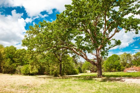 Photo of 00 Ralph Goolsby Road, Lincolnton, GA 30817 (MLS # 554897)