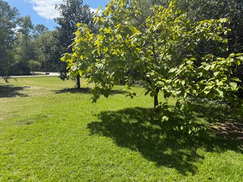 Tiny photo for 5601 Burks Mountain Road, Appling, GA 30802 (MLS # 546887)