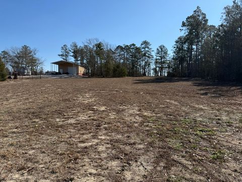 Tiny photo for 1110 Boneville Road, Dearing, GA 30808 (MLS # 551845)