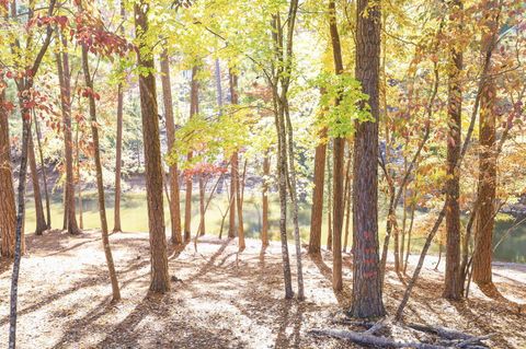 Tiny photo for 170 Grandview Dr Drive, McCormick, SC 29835 (MLS # 549060)