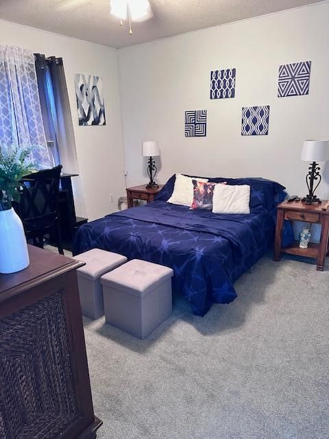 Tiny photo for 245 W Amelia Dr W Drive, Augusta, GA 30907 (MLS # 547427)