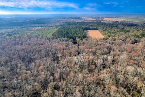 Tiny photo for 1114 LOTT BLUFF Road, Blackville, SC 29817 (MLS # 539091)