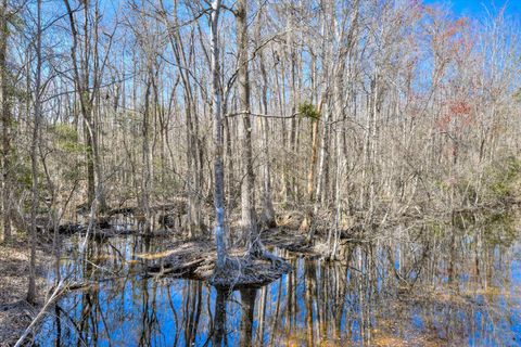 Tiny photo for 1114 LOTT BLUFF Road, Blackville, SC 29817 (MLS # 539091)