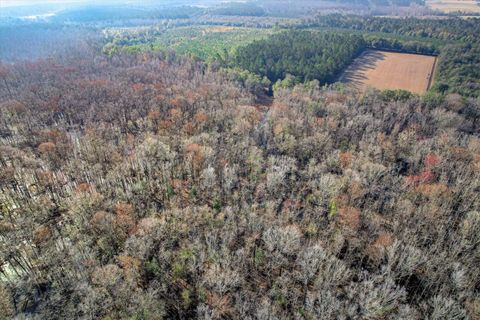 Tiny photo for 1114 LOTT BLUFF Road, Blackville, SC 29817 (MLS # 539091)