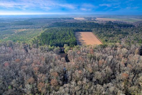 Tiny photo for 1114 LOTT BLUFF Road, Blackville, SC 29817 (MLS # 539091)