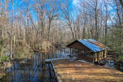 Tiny photo for 1114 LOTT BLUFF Road, Blackville, SC 29817 (MLS # 539091)