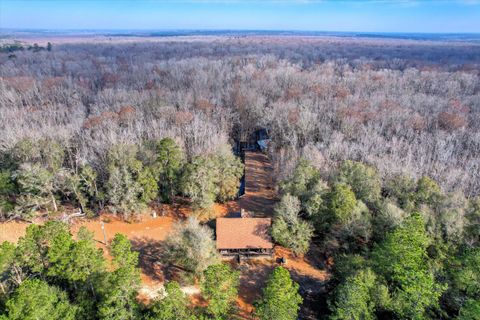 Tiny photo for 1114 LOTT BLUFF Road, Blackville, SC 29817 (MLS # 539091)