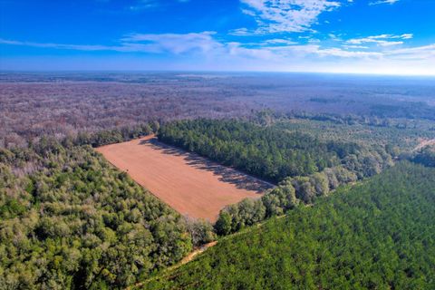 Tiny photo for 1114 LOTT BLUFF Road, Blackville, SC 29817 (MLS # 539091)