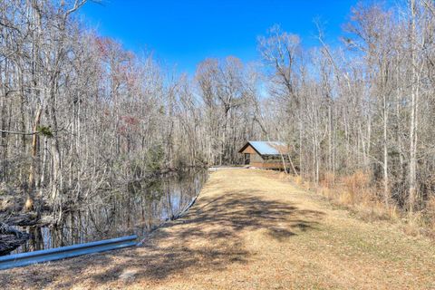 Tiny photo for 1114 LOTT BLUFF Road, Blackville, SC 29817 (MLS # 539091)