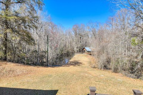 Tiny photo for 1114 LOTT BLUFF Road, Blackville, SC 29817 (MLS # 539091)