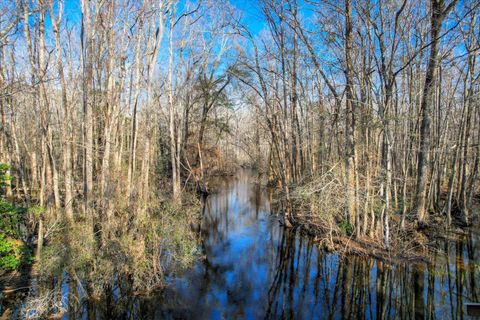 Tiny photo for 1114 LOTT BLUFF Road, Blackville, SC 29817 (MLS # 539091)