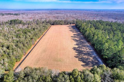 Tiny photo for 1114 LOTT BLUFF Road, Blackville, SC 29817 (MLS # 539091)