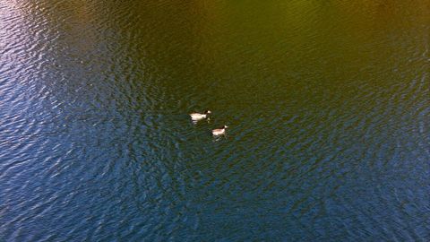 Tiny photo for 3042 Lake Norman Drive, North Augusta, SC 29841 (MLS # 546499)