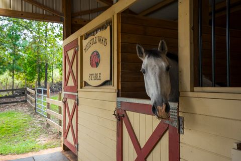Tiny photo for 149 Pine Hollow Drive, Aiken, SC 29803 (MLS # 553128)