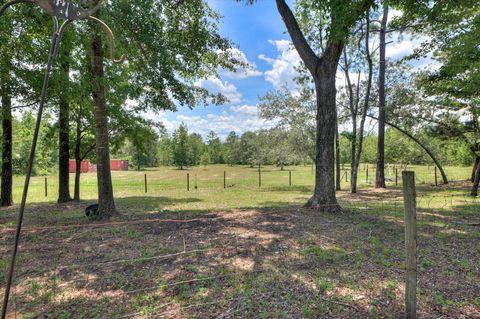 Tiny photo for 422 Bath Rd Road, Harlem, GA 30814 (MLS # 544374)