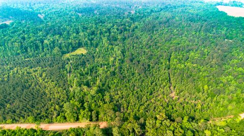 Photo of 0 Fields Farm Road, Millen, GA 30442 (MLS # 555073)