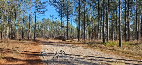 Photo of 1 Smith Chapel Road, Lincolnton, GA 30817 (MLS # 550419)