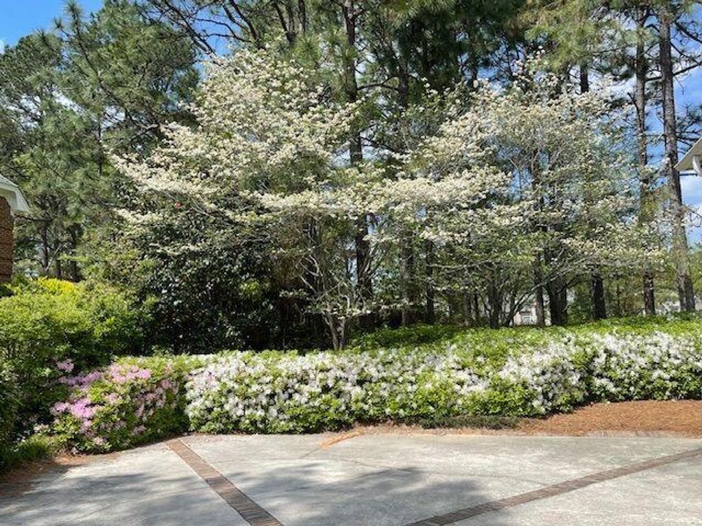 Photo of 913 Holley Lake Road, Aiken, SC 29803 (MLS # 553068)