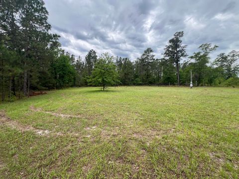 Photo of 1494 Hiltonia Road, Millen, GA 30442 (MLS # 555592)