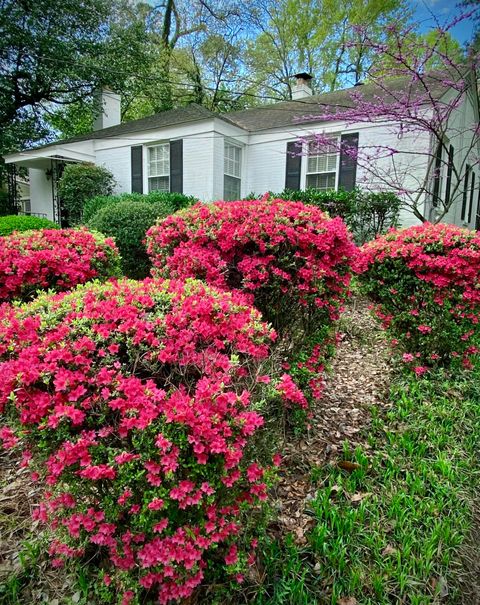 A home in Augusta