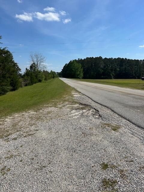 Tiny photo for 312 N Smyrna Church Road, Washington, GA 30673 (MLS # 540846)