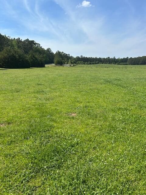 Tiny photo for 312 N Smyrna Church Road, Washington, GA 30673 (MLS # 540846)