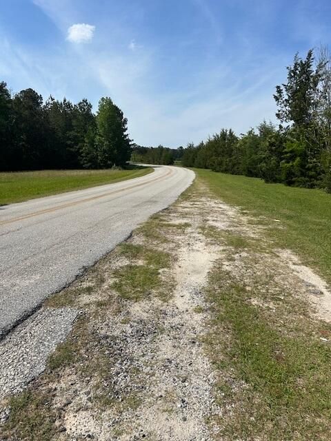 Tiny photo for 312 N Smyrna Church Road, Washington, GA 30673 (MLS # 540846)