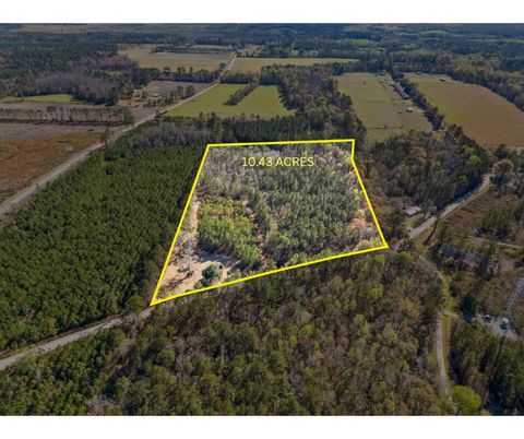 Photo of 1014 Iler Road, Pembroke, GA 31321 (MLS # 541564) Photo of 1014 Iler Road, Pembroke, GA 31321 (MLS # 541564)