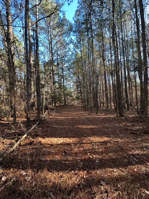Lot 4 Saggus Road Washington GA 30673