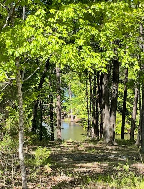 Tiny photo for 144 Shenandoah Dr Drive, McCormick, SC 29835 (MLS # 549950)