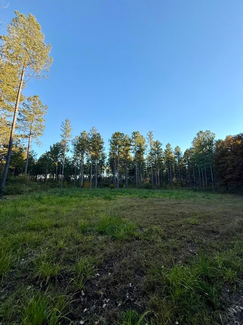 Photo of 0 Christian Rd Road, McCormick, SC 29835 (MLS # 551486)