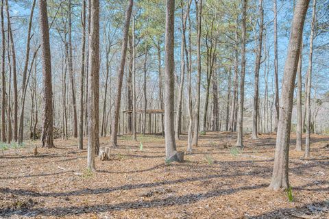 Tiny photo for 561 Big Branch Lane, North Augusta, SC 29860 (MLS # 553126)