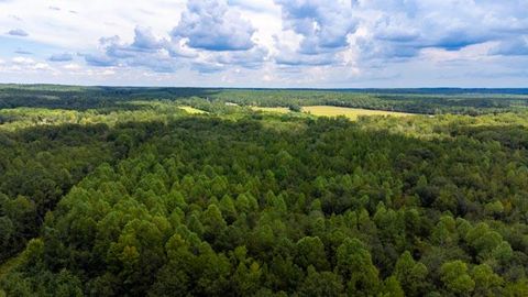 Tiny photo for 220 Destiny Lane, Aiken, SC 29805 (MLS # 546630)