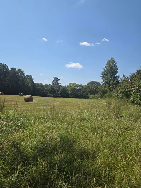 Tiny photo for 6108 Danburg Road, Tignall, GA 30668 (MLS # 552115)