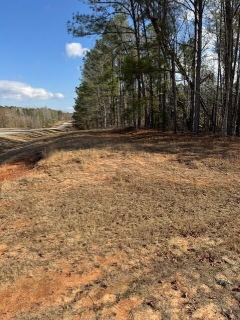 Photo of 101 Antlers Trail, Hephzibah, GA 30815 (MLS # 550414)