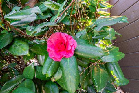 Tiny photo for 5 Prestwick Court, Aiken, SC 29803 (MLS # 550513)