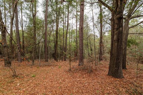 Tiny photo for 979 Horseshoe Road, Augusta, GA 30906 (MLS # 549926)
