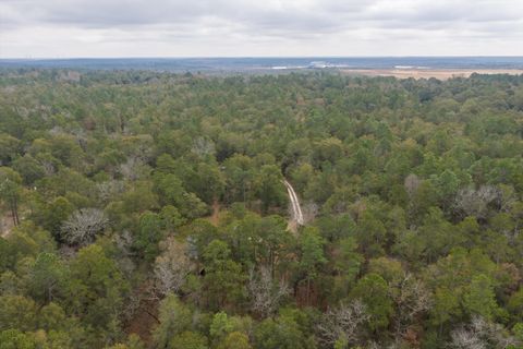 Tiny photo for 979 Horseshoe Road, Augusta, GA 30906 (MLS # 549926)