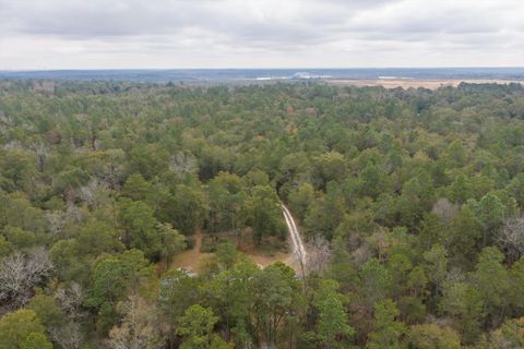 Tiny photo for 979 Horseshoe Road, Augusta, GA 30906 (MLS # 549926)