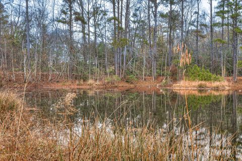 Tiny photo for 900 County Line Road, Harlem, GA 30814 (MLS # 550286)