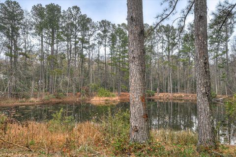 Tiny photo for 900 County Line Road, Harlem, GA 30814 (MLS # 550286)