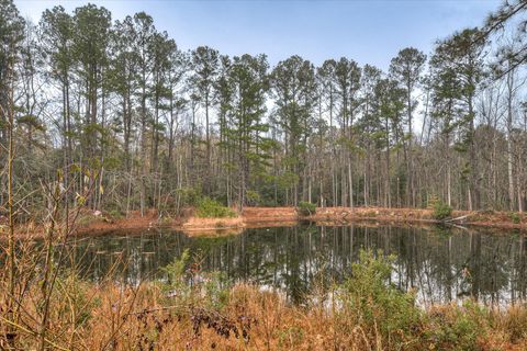 Tiny photo for 900 County Line Road, Harlem, GA 30814 (MLS # 550286)