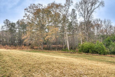 Tiny photo for 900 County Line Road, Harlem, GA 30814 (MLS # 550286)