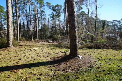 A home in Swainsboro